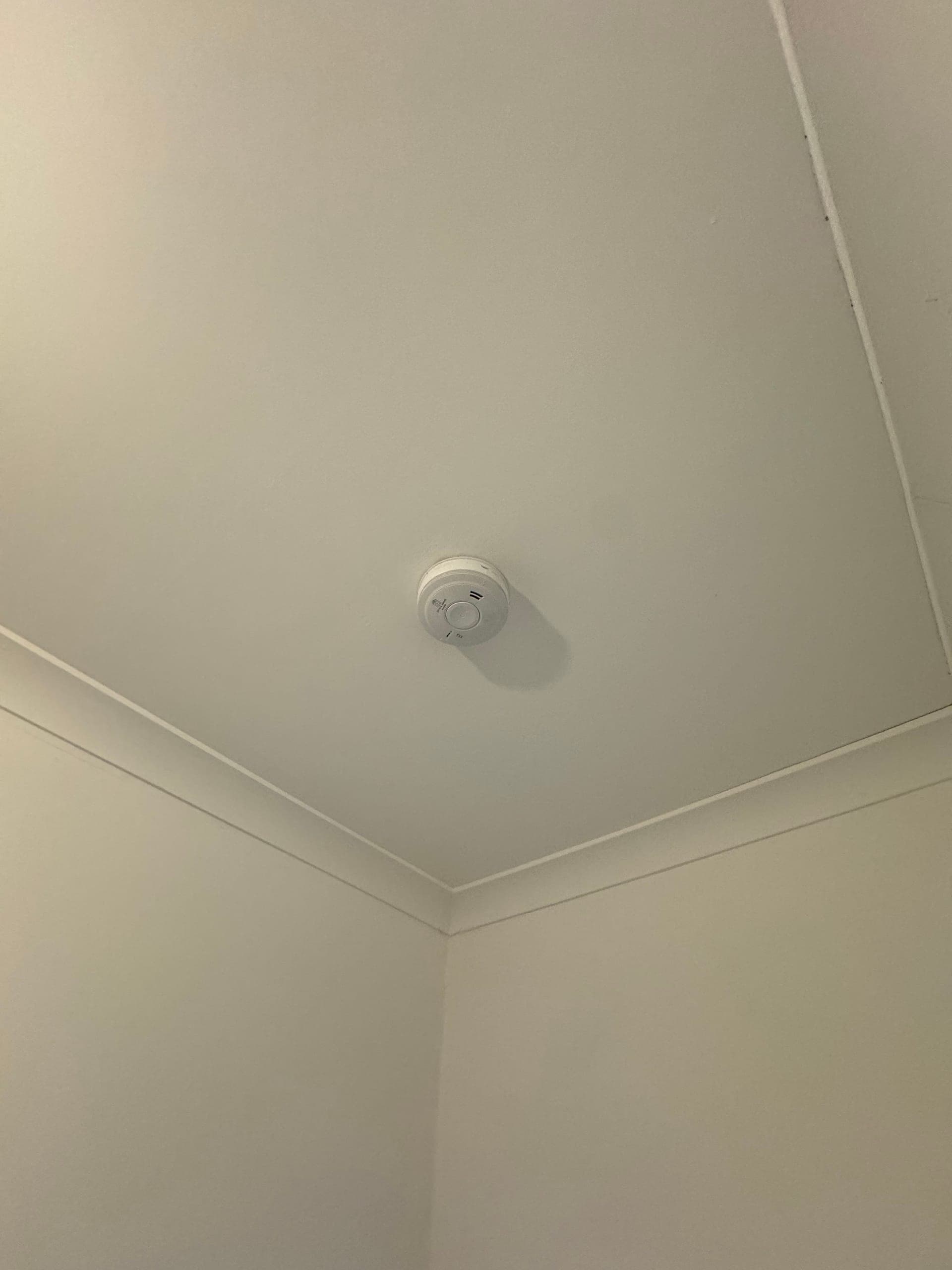 Mains-powered smoke alarm fitted to a ceiling